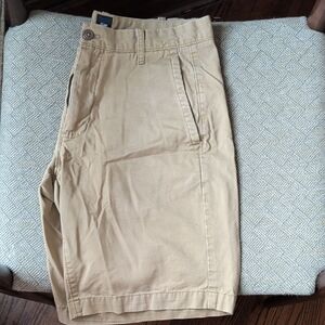 GAP Tan Cotton Casual Shorts